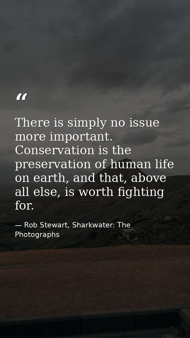 There is simply no issue more important. Conservation is the preservation of human life on earth, and that, above all el — Rob Stewart, Sharkwater: The Photographs