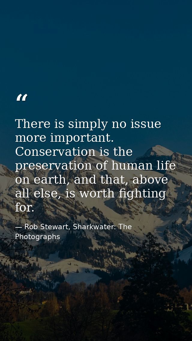 There is simply no issue more important. Conservation is the preservation of human life on earth, and that, above all el — Rob Stewart, Sharkwater: The Photographs