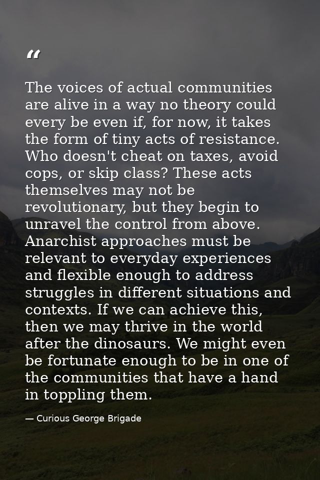 The voices of actual communities are alive in a way no theory could every be even if, for now, it takes the form of tiny — Curious George Brigade