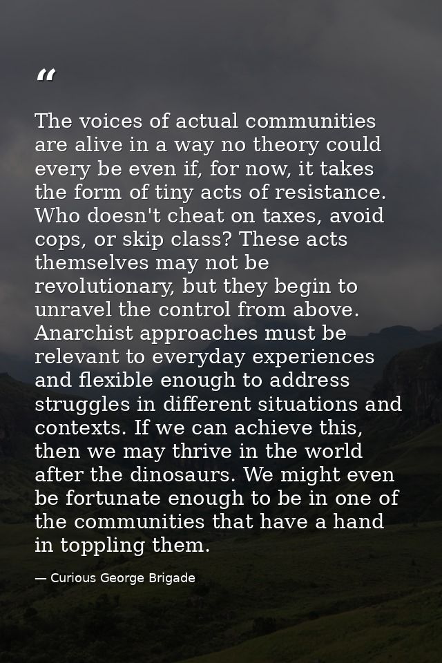 The voices of actual communities are alive in a way no theory could every be even if, for now, it takes the form of tiny — Curious George Brigade