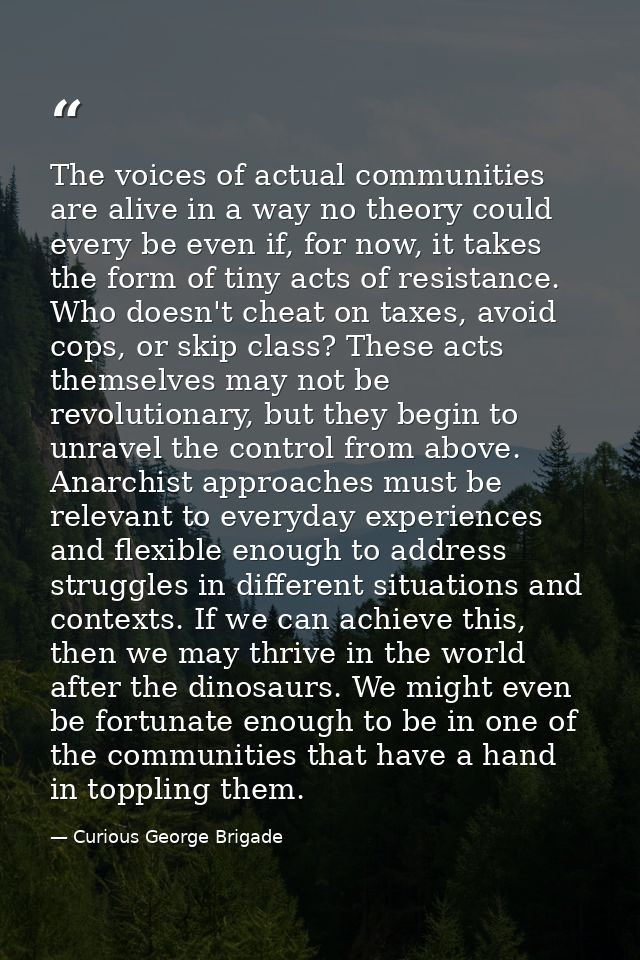 The voices of actual communities are alive in a way no theory could every be even if, for now, it takes the form of tiny — Curious George Brigade