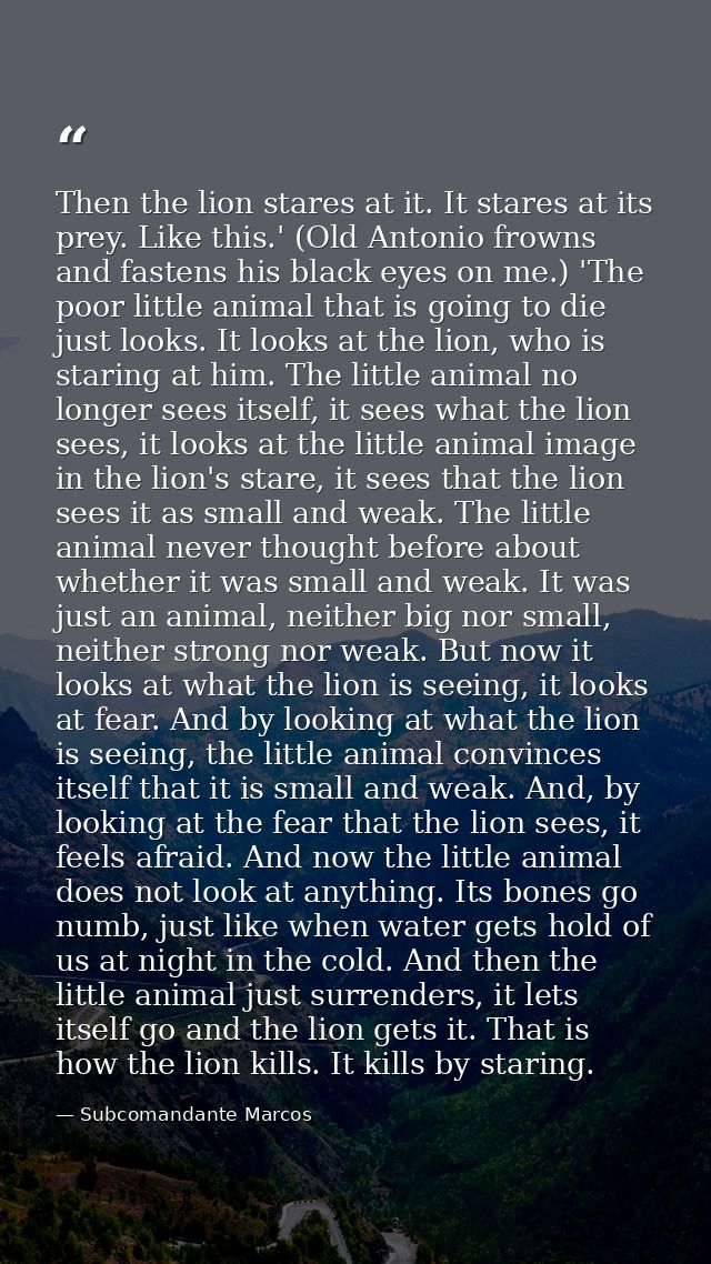 Then the lion stares at it. It stares at its prey. Like this.' (Old Antonio frowns and fastens his black eyes on me.) 'T — Subcomandante Marcos