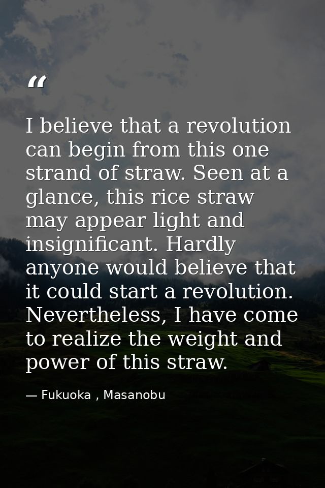 I believe that a revolution can begin from this one strand of straw. Seen at a glance, this rice straw may appear light  — Fukuoka , Masanobu