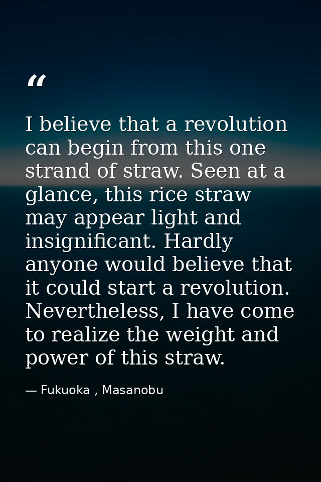 I believe that a revolution can begin from this one strand of straw. Seen at a glance, this rice straw may appear light  — Fukuoka , Masanobu