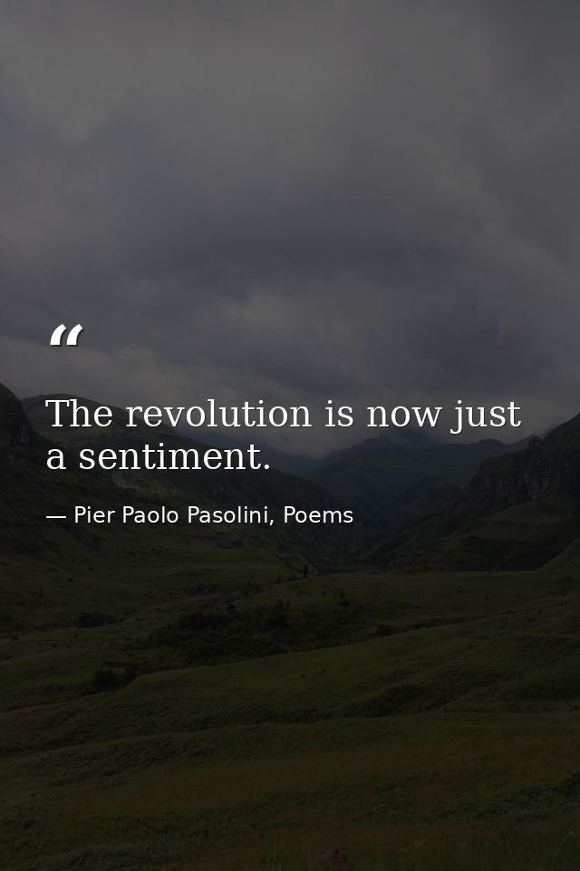 The revolution is now just a sentiment. — Pier Paolo Pasolini, Poems