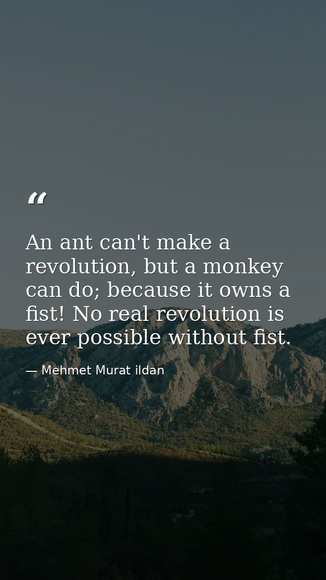 An ant can't make a revolution, but a monkey can do; because it owns a fist! No real revolution is ever possible without — Mehmet Murat ildan