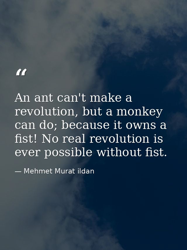 An ant can't make a revolution, but a monkey can do; because it owns a fist! No real revolution is ever possible without — Mehmet Murat ildan