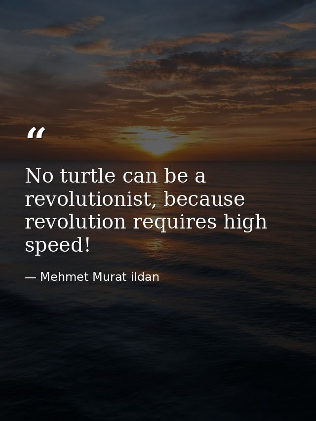 No turtle can be a revolutionist, because revolution requires high speed! — Mehmet Murat ildan