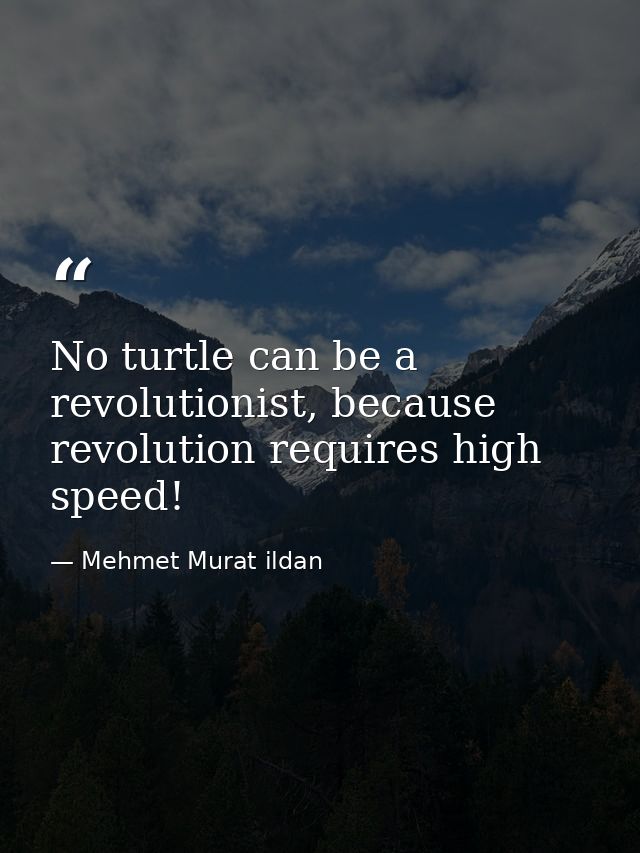 No turtle can be a revolutionist, because revolution requires high speed! — Mehmet Murat ildan