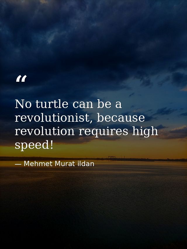 No turtle can be a revolutionist, because revolution requires high speed! — Mehmet Murat ildan