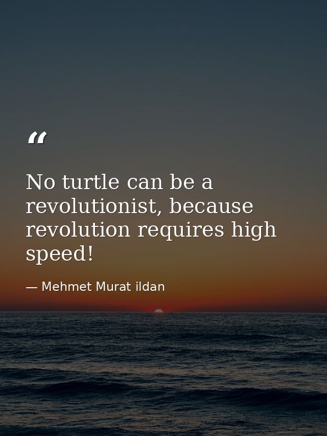 No turtle can be a revolutionist, because revolution requires high speed! — Mehmet Murat ildan