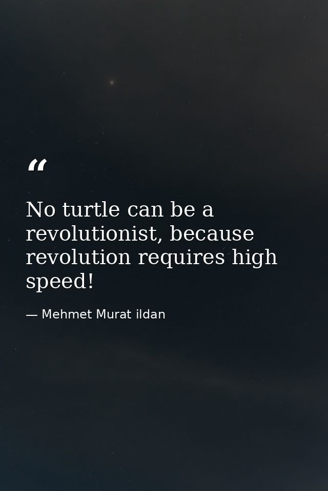 No turtle can be a revolutionist, because revolution requires high speed! — Mehmet Murat ildan