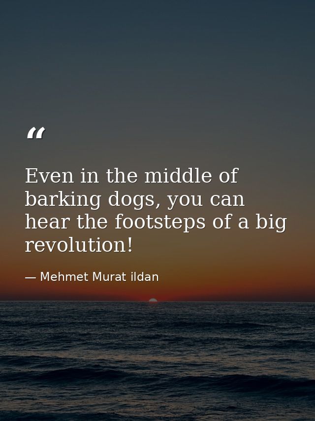 Even in the middle of barking dogs, you can hear the footsteps of a big revolution! — Mehmet Murat ildan