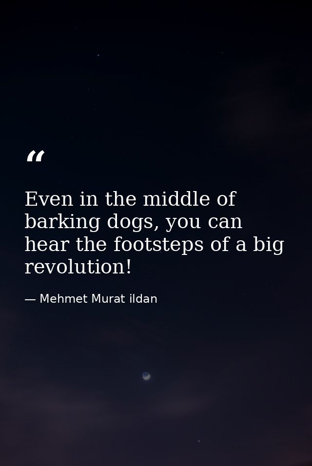 Even in the middle of barking dogs, you can hear the footsteps of a big revolution! — Mehmet Murat ildan