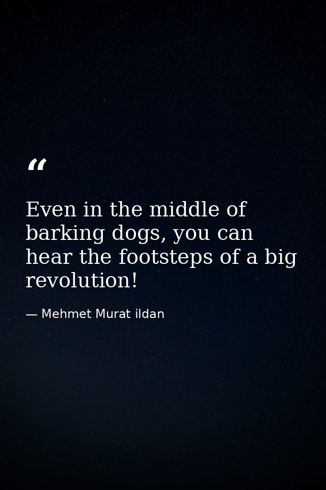 Even in the middle of barking dogs, you can hear the footsteps of a big revolution! — Mehmet Murat ildan