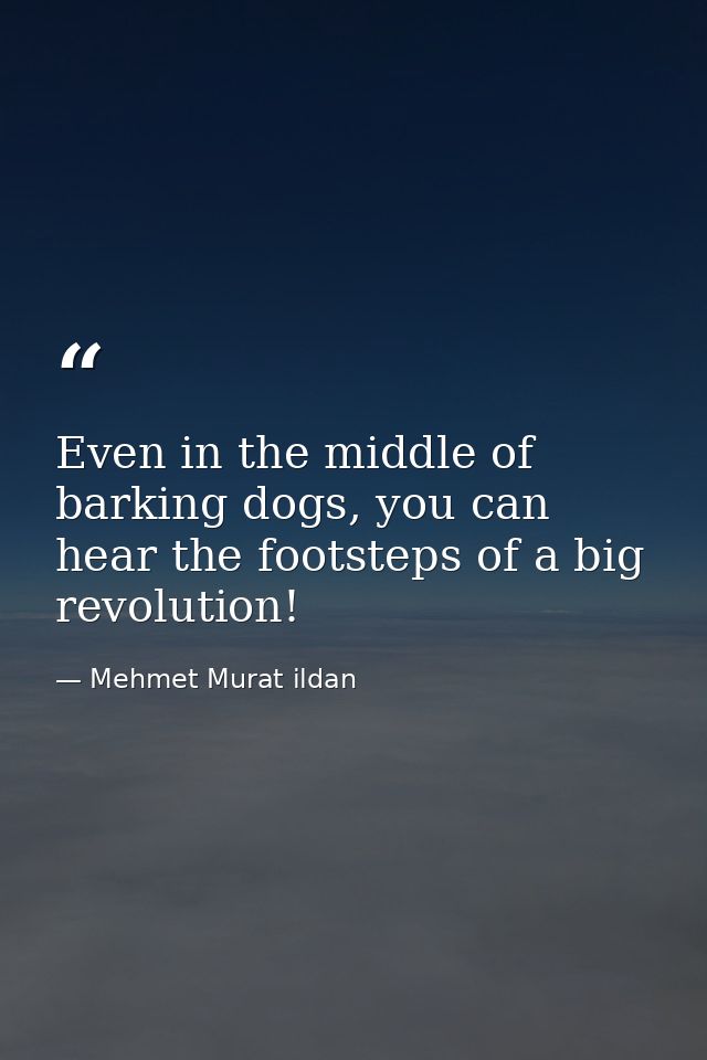 Even in the middle of barking dogs, you can hear the footsteps of a big revolution! — Mehmet Murat ildan