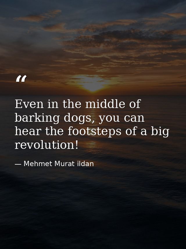 Even in the middle of barking dogs, you can hear the footsteps of a big revolution! — Mehmet Murat ildan