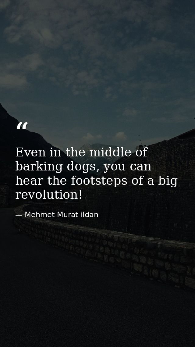 Even in the middle of barking dogs, you can hear the footsteps of a big revolution! — Mehmet Murat ildan