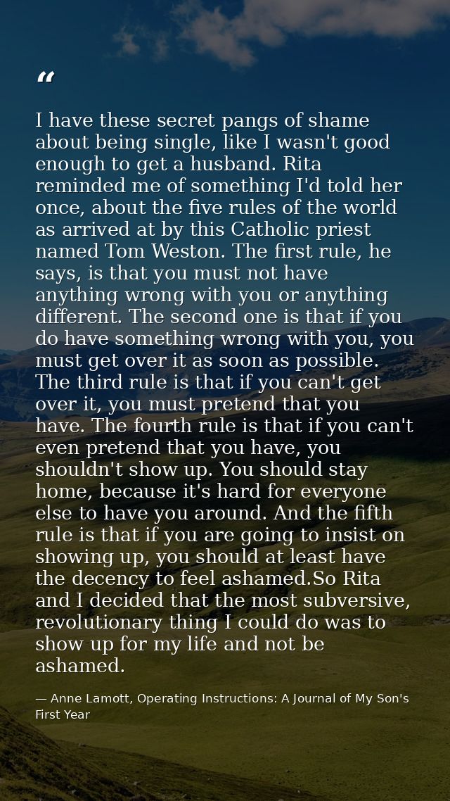 I have these secret pangs of shame about being single, like I wasn't good enough to get a husband. Rita reminded me of s — Anne Lamott, Operating Instructions: A Journal of My Son's First Year