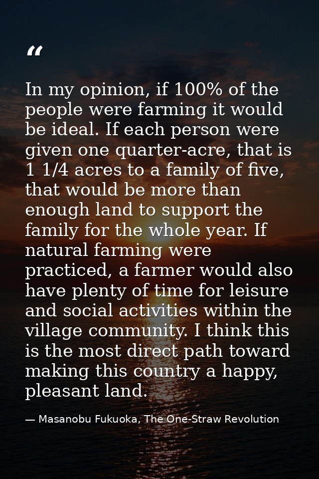 In my opinion, if 100% of the people were farming it would be ideal. If each person were given one quarter-acre, that is — Masanobu Fukuoka, The One-Straw Revolution