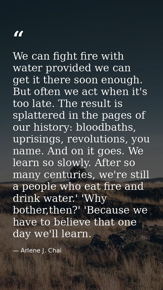 We can fight fire with water provided we can get it there soon enough. But often we act when it's too late. The result i — Arlene J. Chai