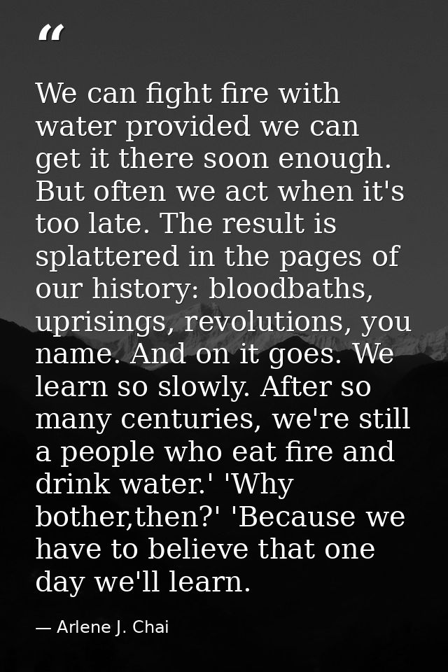 We can fight fire with water provided we can get it there soon enough. But often we act when it's too late. The result i — Arlene J. Chai