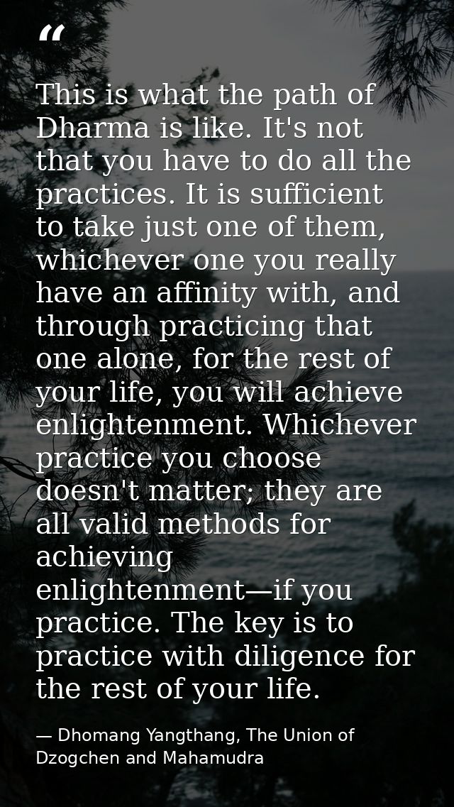 This is what the path of Dharma is like. It's not that you have to do all the practices. It is sufficient to take just o — Dhomang Yangthang, The Union of Dzogchen and Mahamudra