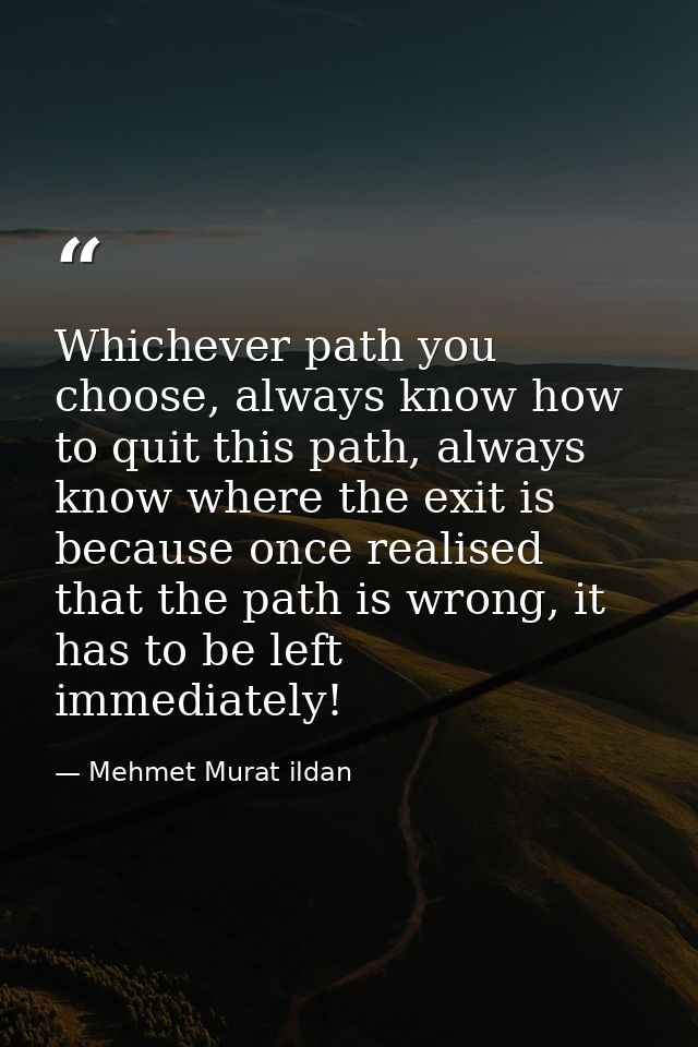 Whichever path you choose, always know how to quit this path, always know where the exit is because once realised that t — Mehmet Murat ildan
