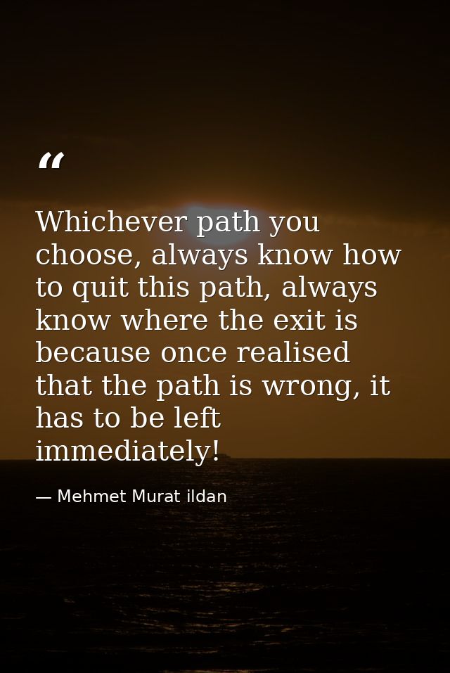 Whichever path you choose, always know how to quit this path, always know where the exit is because once realised that t — Mehmet Murat ildan