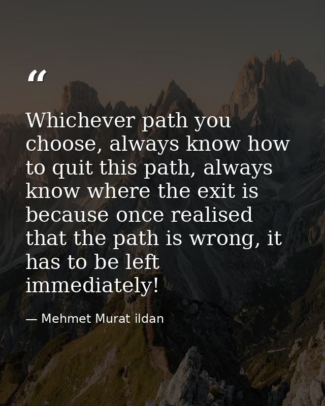 Whichever path you choose, always know how to quit this path, always know where the exit is because once realised that t — Mehmet Murat ildan