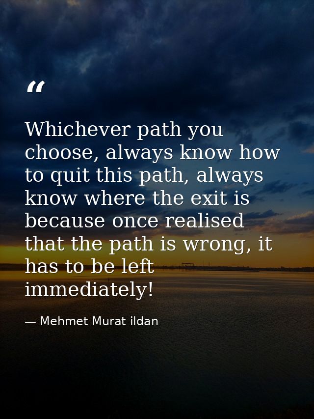 Whichever path you choose, always know how to quit this path, always know where the exit is because once realised that t — Mehmet Murat ildan