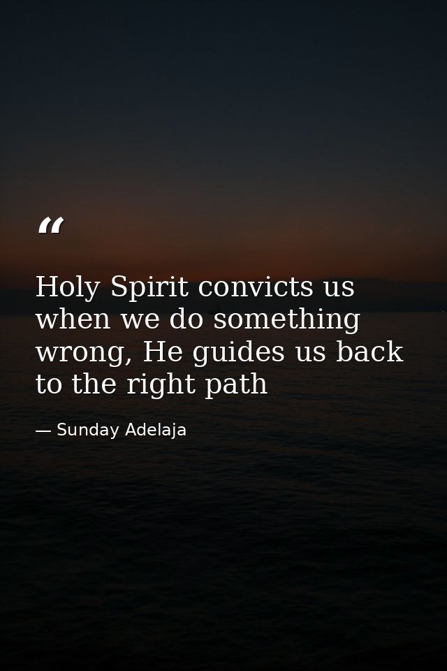 Holy Spirit convicts us when we do something wrong, He guides us back to the right path — Sunday Adelaja