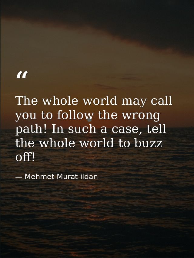 The whole world may call you to follow the wrong path! In such a case, tell the whole world to buzz off! — Mehmet Murat ildan