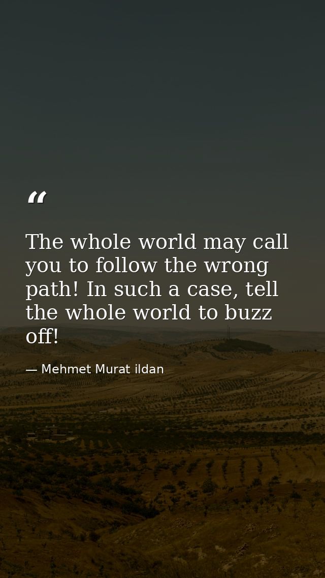 The whole world may call you to follow the wrong path! In such a case, tell the whole world to buzz off! — Mehmet Murat ildan