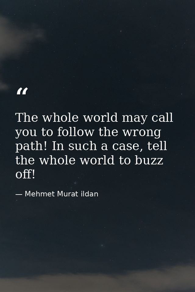 The whole world may call you to follow the wrong path! In such a case, tell the whole world to buzz off! — Mehmet Murat ildan