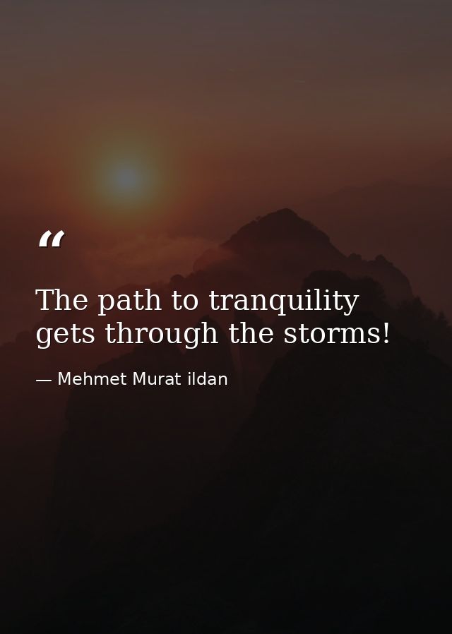 The path to tranquility gets through the storms! — Mehmet Murat ildan