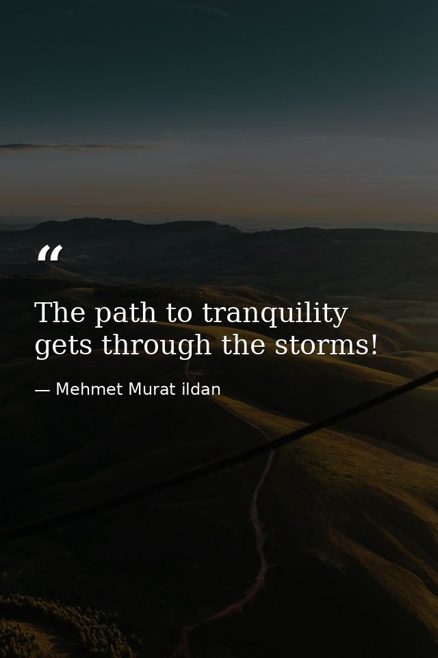 The path to tranquility gets through the storms! — Mehmet Murat ildan