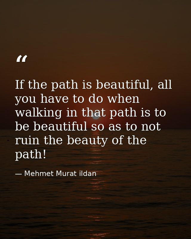 If the path is beautiful, all you have to do when walking in that path is to be beautiful so as to not ruin the beauty o — Mehmet Murat ildan