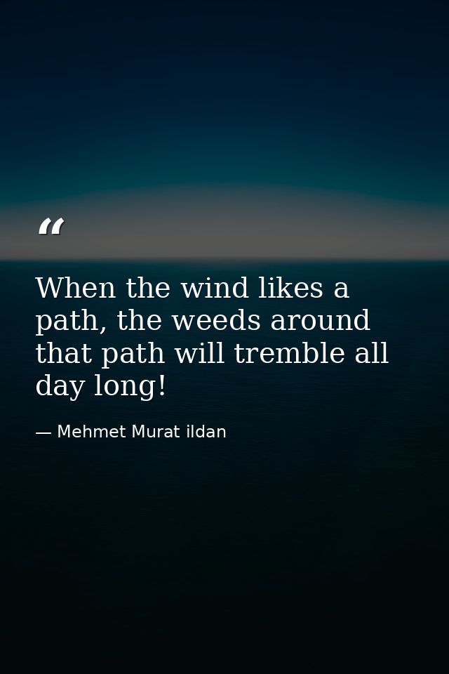 When the wind likes a path, the weeds around that path will tremble all day long! — Mehmet Murat ildan