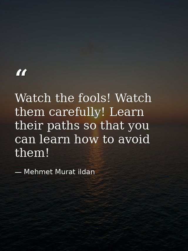 Watch the fools! Watch them carefully! Learn their paths so that you can learn how to avoid them! — Mehmet Murat ildan