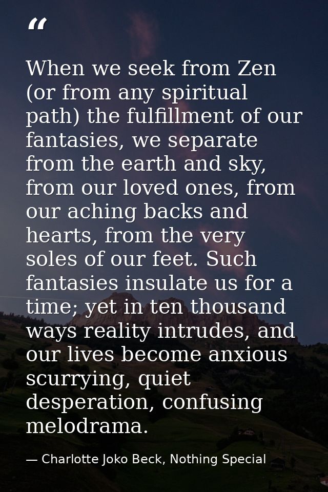 When we seek from Zen (or from any spiritual path) the fulfillment of our fantasies, we separate from the earth and sky, — Charlotte Joko Beck, Nothing Special