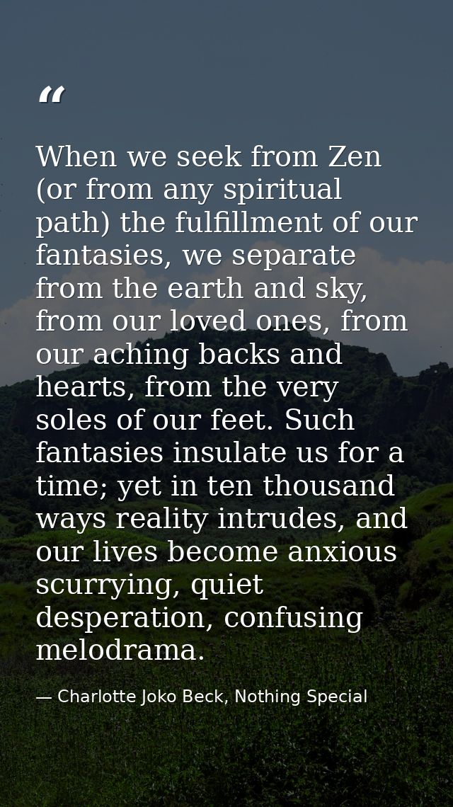 When we seek from Zen (or from any spiritual path) the fulfillment of our fantasies, we separate from the earth and sky, — Charlotte Joko Beck, Nothing Special