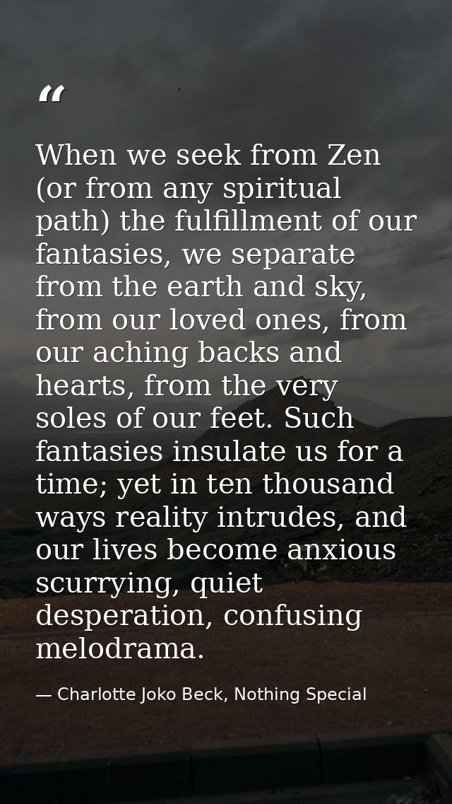When we seek from Zen (or from any spiritual path) the fulfillment of our fantasies, we separate from the earth and sky, — Charlotte Joko Beck, Nothing Special