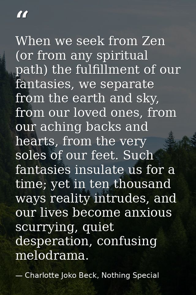 When we seek from Zen (or from any spiritual path) the fulfillment of our fantasies, we separate from the earth and sky, — Charlotte Joko Beck, Nothing Special