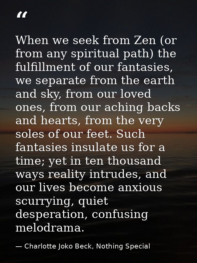 When we seek from Zen (or from any spiritual path) the fulfillment of our fantasies, we separate from the earth and sky, — Charlotte Joko Beck, Nothing Special