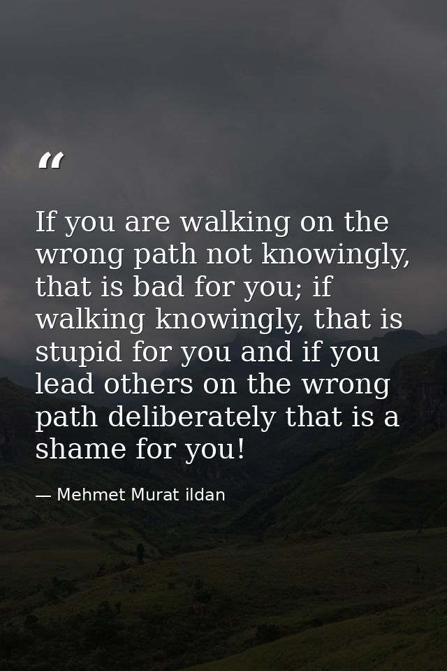 If you are walking on the wrong path not knowingly, that is bad for you; if walking knowingly, that is stupid for you an — Mehmet Murat ildan