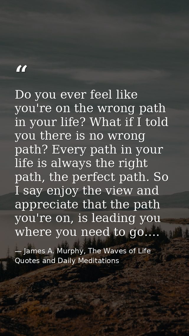 Do you ever feel like you're on the wrong path in your life? What if I told you there is no wrong path? Every path in yo — James A. Murphy, The Waves of Life Quotes and Daily Meditations