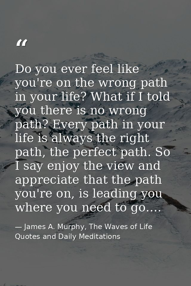 Do you ever feel like you're on the wrong path in your life? What if I told you there is no wrong path? Every path in yo — James A. Murphy, The Waves of Life Quotes and Daily Meditations
