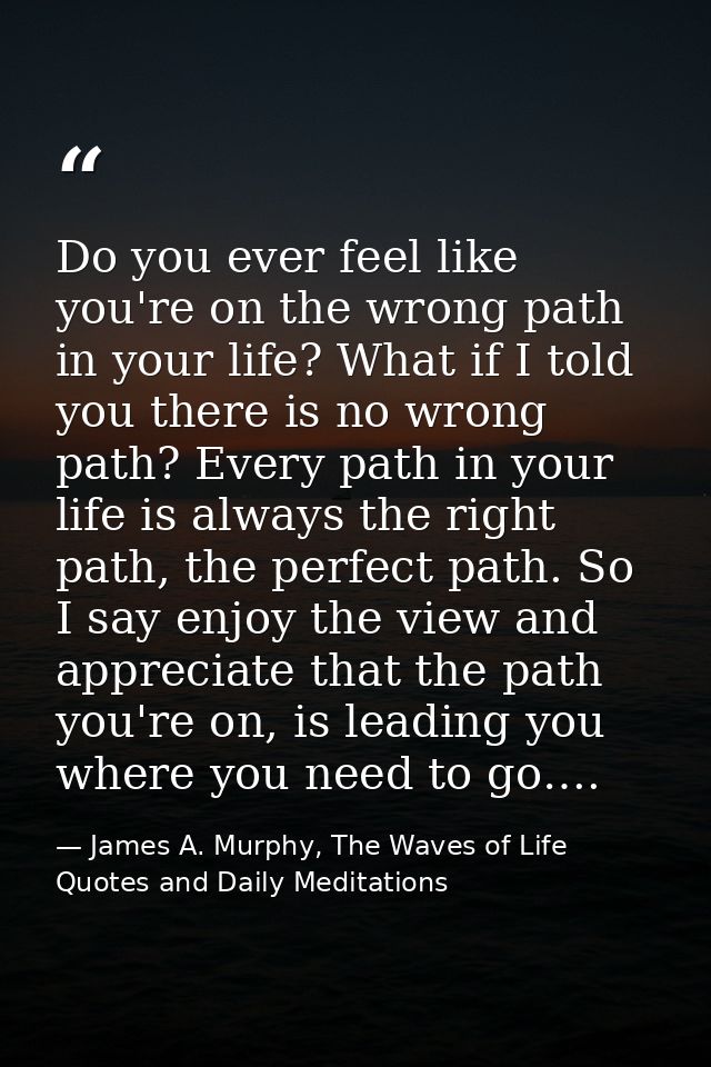 Do you ever feel like you're on the wrong path in your life? What if I told you there is no wrong path? Every path in yo — James A. Murphy, The Waves of Life Quotes and Daily Meditations