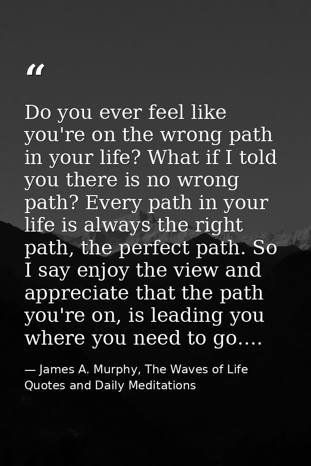 Do you ever feel like you're on the wrong path in your life? What if I told you there is no wrong path? Every path in yo — James A. Murphy, The Waves of Life Quotes and Daily Meditations